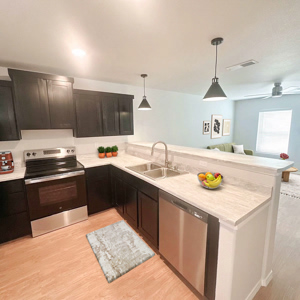 NV Kitchen and Living Room